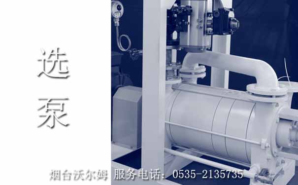 選泵，煙臺(tái)沃爾姆真空泵選型，助你選擇適合的真空系統(tǒng)解決方案